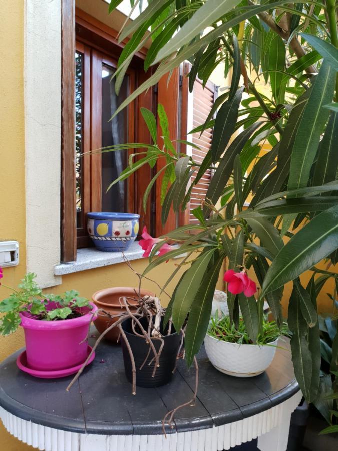 Oleandrorosso Sardegna Casa