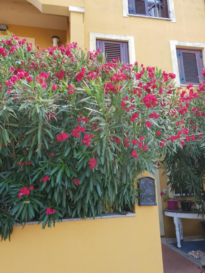 Oleandrorosso Sardegna Casa Hébergement de vacances Olbia